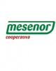 mesenor-logo-e1462986496454